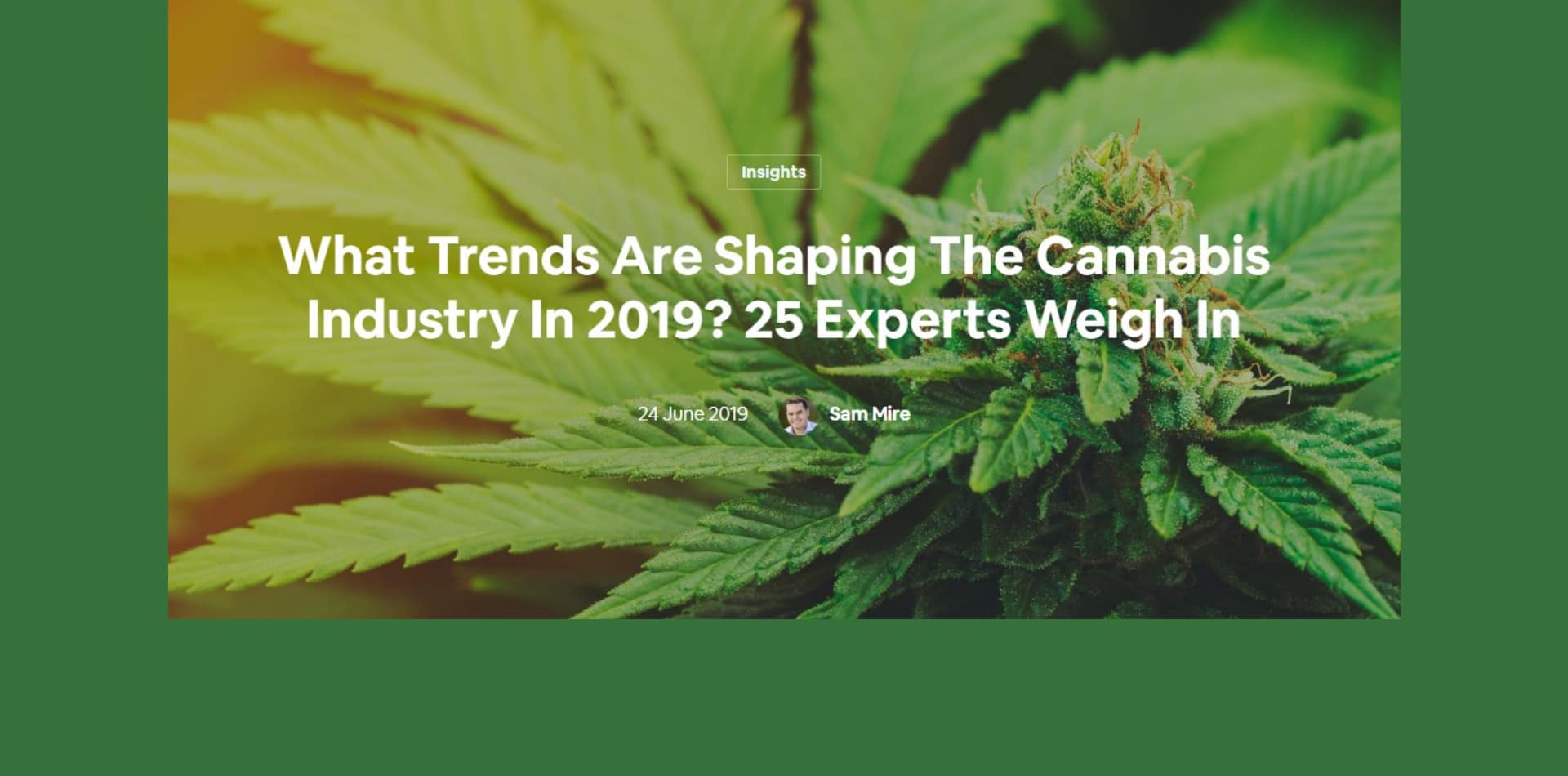 Quelles sont les tendances qui façonneront l'industrie du cannabis en 2019 ? 25 experts se prononcent