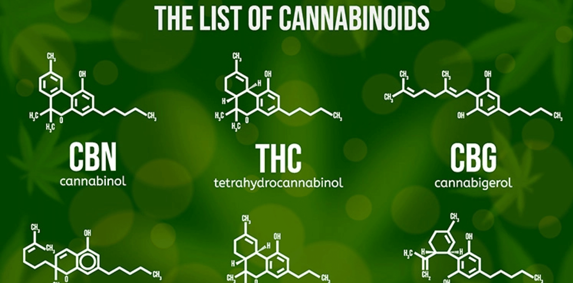 Arguments en faveur de l'amélioration de l'absorption des cannabinoïdes à l'aide d'éthosomes