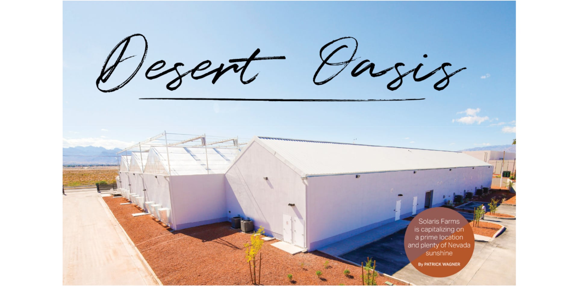 Desert Oasis | Solaris Farms profite d'un emplacement de choix et de l'ensoleillement du Nevada (page 58-61 du numéro de novembre)