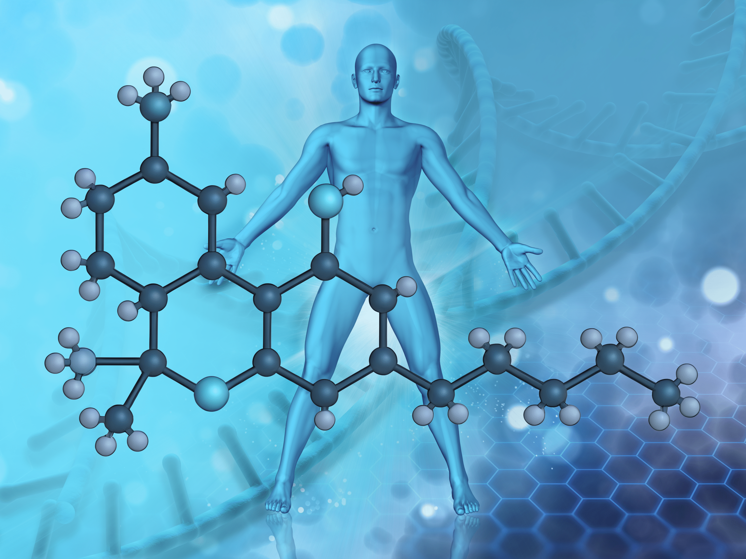 Démystifier le THC : Comment le tétrahydrocannabinol agit-il dans l'organisme ?