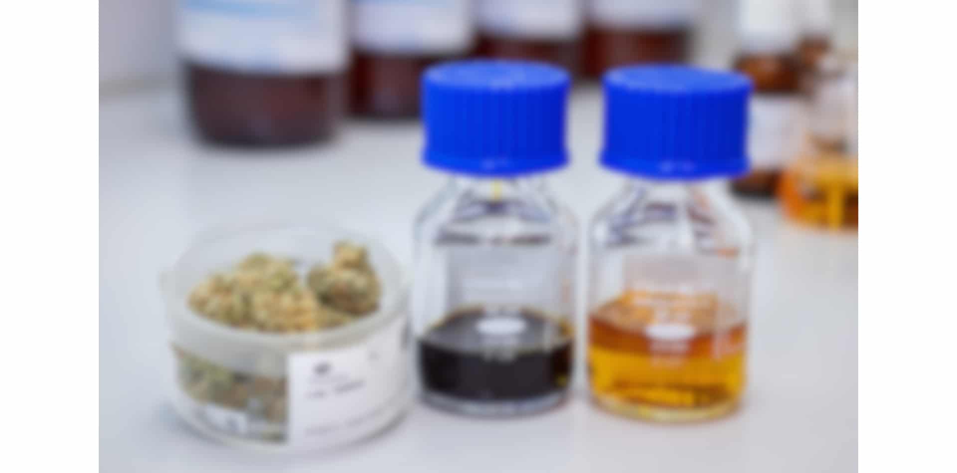 ICBC News : Les produits légaux du cannabis sont de plus en plus diversifiés